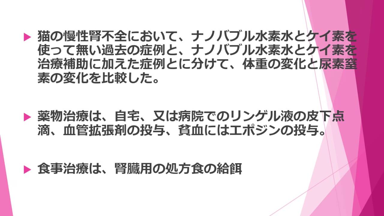 猫の慢性腎不全　臨床報告