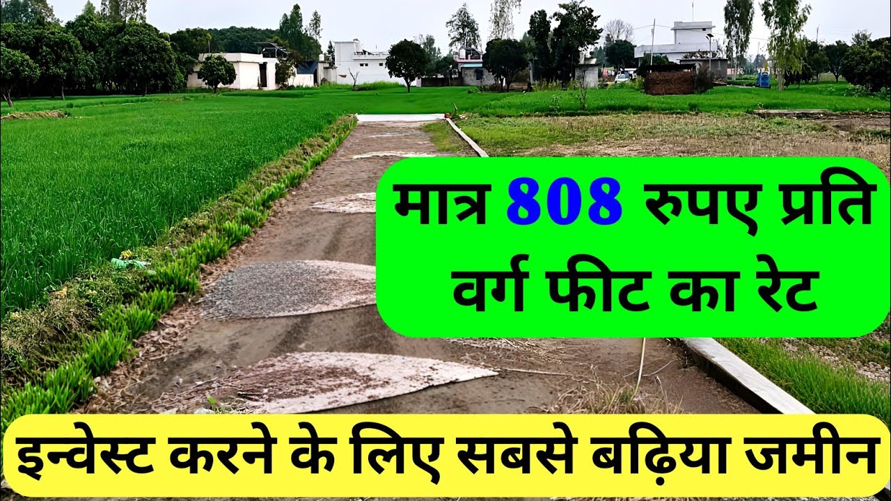 यहां मिली है सस्ते रेट मैं किस से भूमि,  ले लो बीघा के हिसाब से#trending #youtube #trend #house #hom