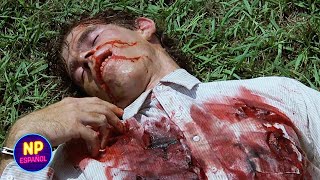Chuck Norris Mata A Un Loco Asesino | Furia Silenciosa (1982) | Now Español