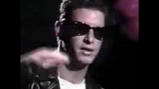 Social Distortion Angel's Wings
