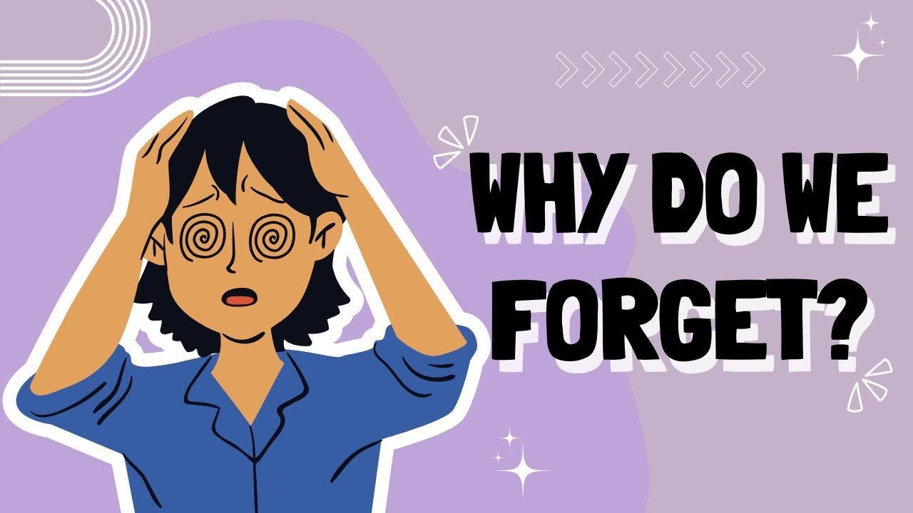 Могут ли забытые воспоминания вернуться? Наука говорит «да»! Теории забывания. Бесплатная загрузк...