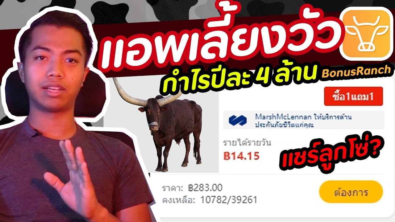 แอพเลี้ยงวัวได้เงินจริง? (ดูให้จบ) | DOM