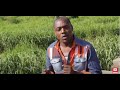 JEFF MUNGA WA WAITHIRA - NIURATHIMAGA