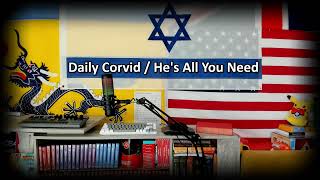 Daily Corvid  Hes All You Need