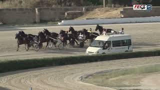 Vidéo de la course PMU GRAN PREMI DELS 5 ANYS