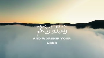 سورة الحج الآية 77