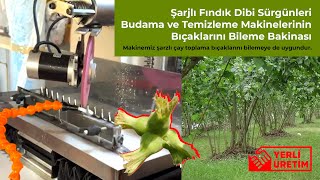 Fındık Dibi Temizleme Makinesi Bileme Makineleri