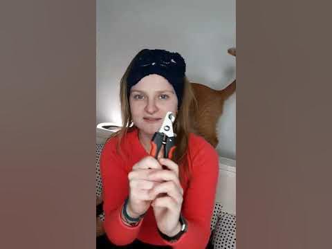 Как постричь когти кошке в домашних условиях инст👉 loftkot - YouTube