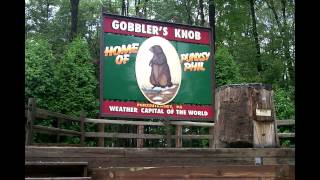 Groundhog Day: Groundhogs as prognosticators?