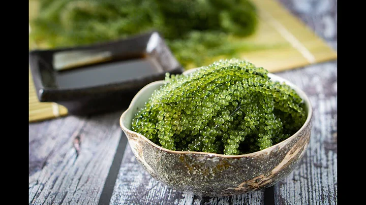 Top 19 chế biến rong nho tươi