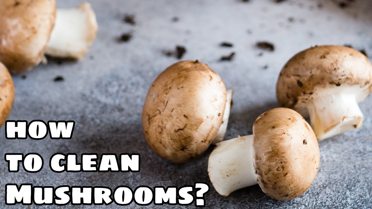 How To Clean And Store Mushrooms Easy Simple Ways To Clean Store how-to-clean-and-store-mushrooms-easy-simple-ways-to-clean-store