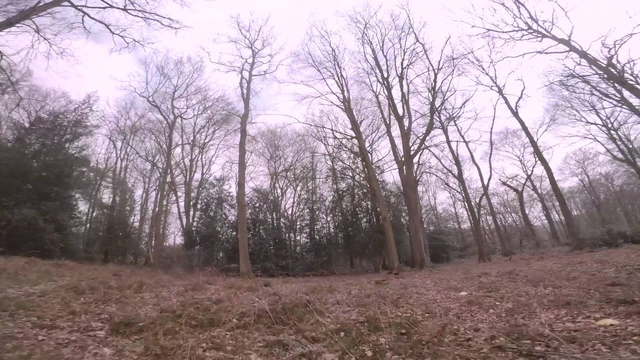 Forest Styles - ImpulseRC Alien 6' FPV Quadcopter