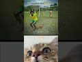 #lifeisbutadream #catmemes #whowillbemylifepartnerta #catphotos #memes #ekmotahathighumechala