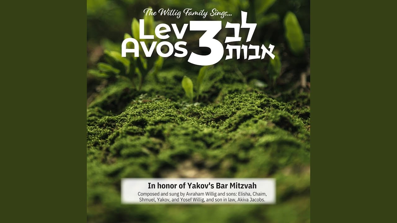 Shir Lamaalos (feat. Yaakov Willig, Elisha Willig, Chaim Willig, Shmuel ...