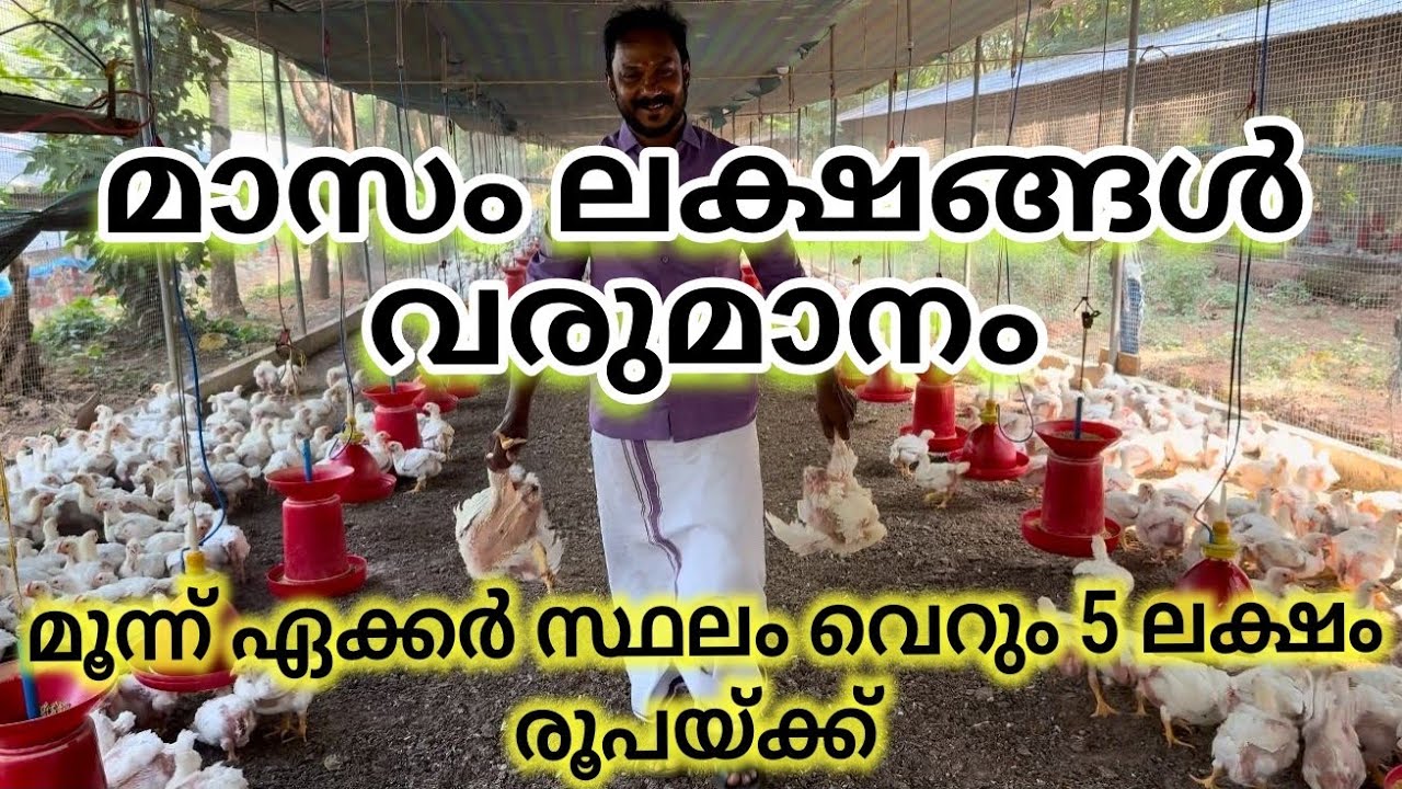 ലക്ഷങ്ങൾ വരുമാനം കിട്ടും മൂന്ന് ഏക്കർ സ്ഥലം  വെറും 5 ലക്ഷം രൂപയ്ക്ക്.ഒരു ഷെയർ വാങ്ങിയാൽ മാത്രം മതി