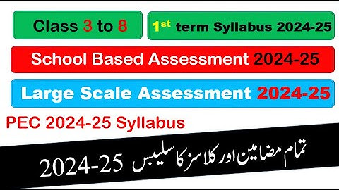 PEC Exam syllabus 2024 |  School Based Assessment paper pattern & syllabus | 1st term 2025