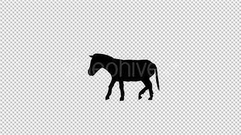 Donkey Silhouette Walk Animation | Motion Graphics - Envato elements