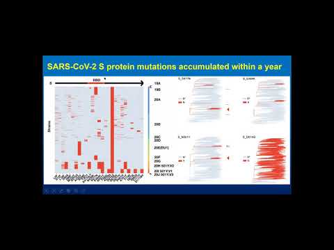 Video: Scientists will break down mild forms of COVID-19 into 7 groups. New research