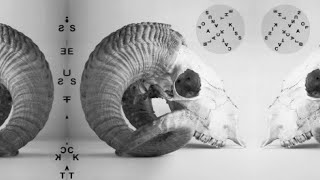 Kiss The Of A Black Cat - Hewers Of Wood And Drawers Of Water