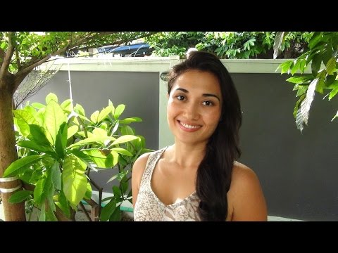 Vegan Food Shopping Vlog in Bangkok - Lemon Farm