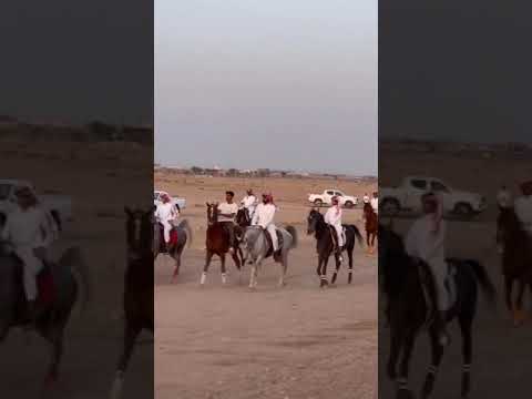 مربط الجبلين