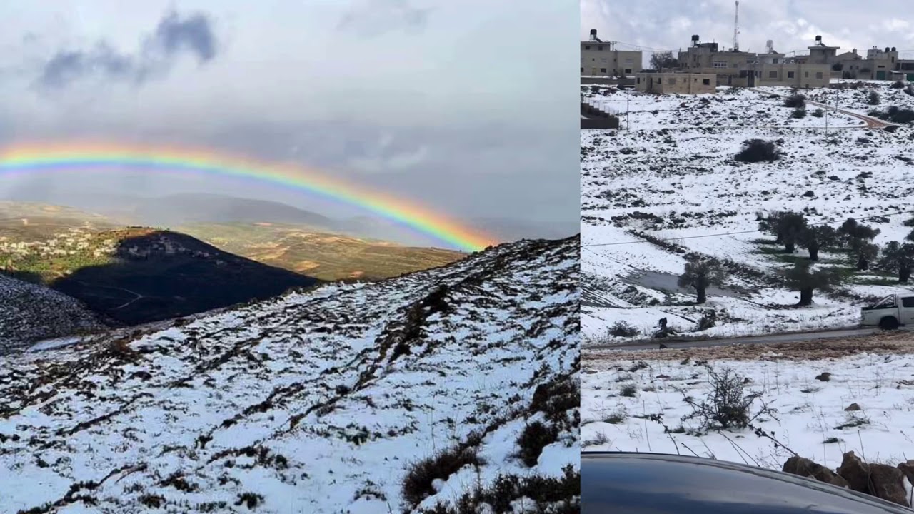 ثلوج المزرعة الشرقية 19-2-2021