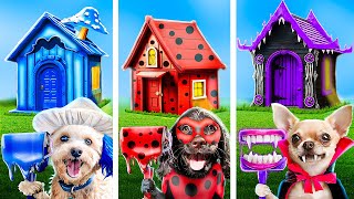 Будиночки для собак одного кольору − челендж! Вампір vs Леді Баг vs Шайлушай