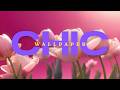Soft Pink Tulips Aesthetic Live Wallpaper 4K Relaxing Calm 4 HOURS NO MUSIC 