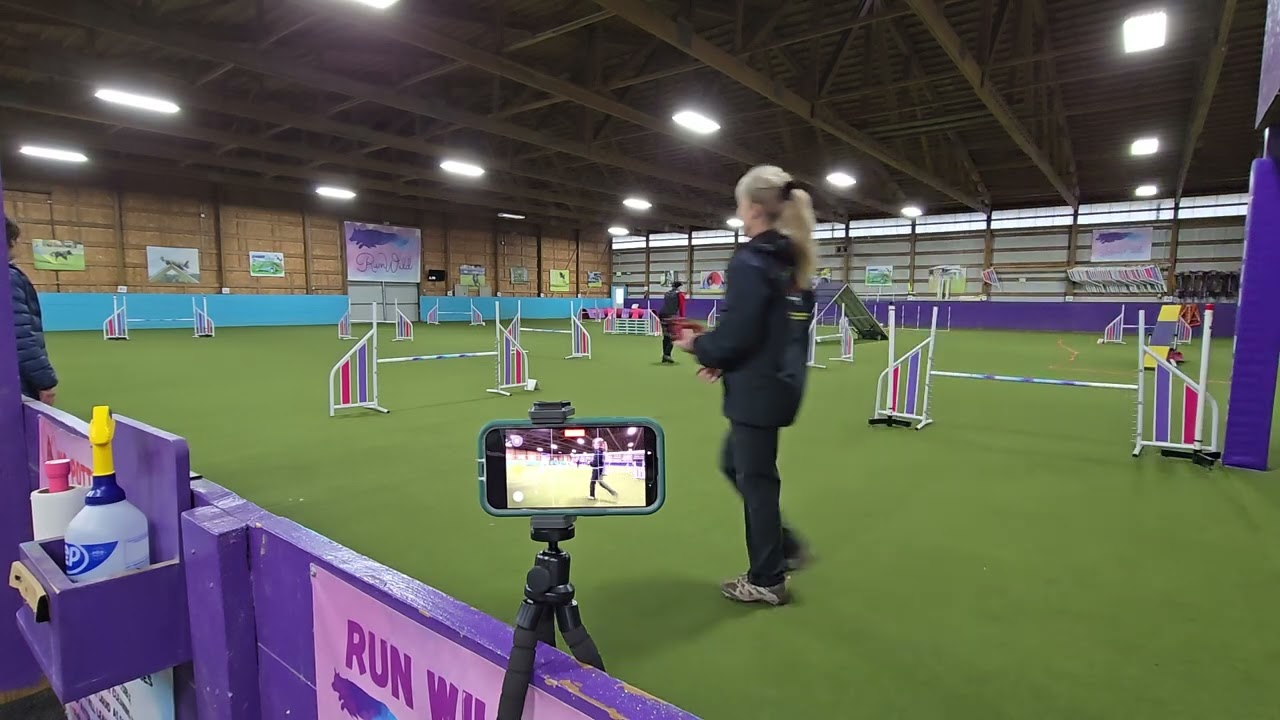 Arlo - Novice Fast - FEO 12-14-2025