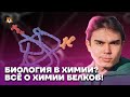 Биология в химии? Всё о химии белков! | Химия ЕГЭ 2023 | Умскул