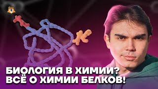 Биология в химии? Всё о химии белков! | Химия ЕГЭ 2023 | Умскул