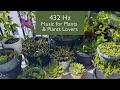 Music for plants  432 hz frequency for powerful growing and healing