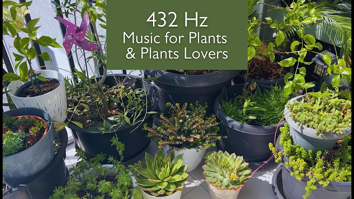 Music for Plants 🌱 432 Hz Frequency for Powerful Growing and Healing