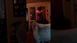 Kjgamer Family Dance Off