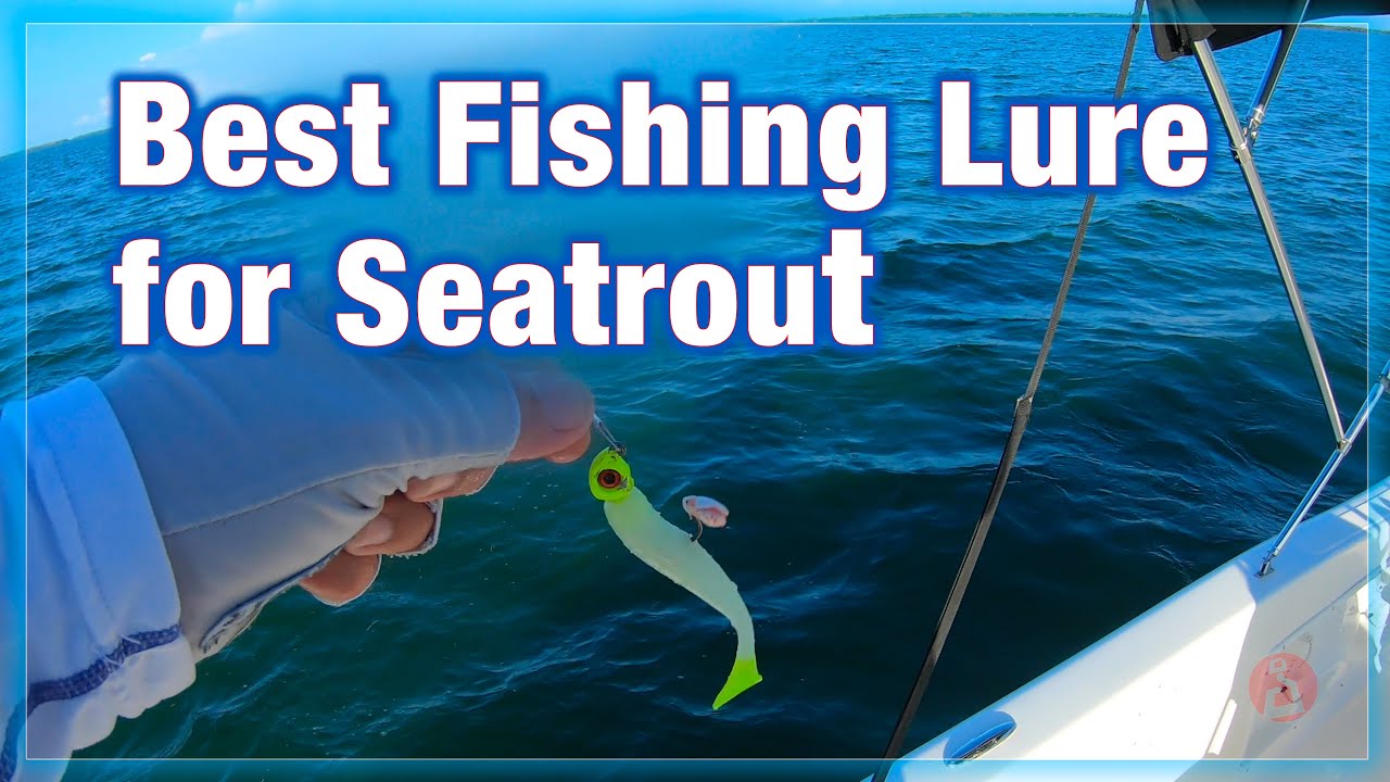 Best Fishing Lure for Seatrout in the Lower Keys, Florida YouTube