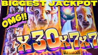 видео: Ого!!!! САМЫЙ БОЛЬШОЙ ДЖЕКПОТ НА YOUTUBE НА BUFFALO CHIEF PLATINUM! НЕВЕРОЯТНО! картинка: Ого!!!! САМЫЙ БОЛЬШОЙ ДЖЕКПОТ НА YOUTUBE НА BUFFALO CHIEF PLATINUM! НЕВЕРОЯТНО!