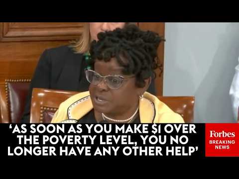 'It's An Unsustainable Model': Gwen Moore Demands Reforms To Welfare Programs Across US