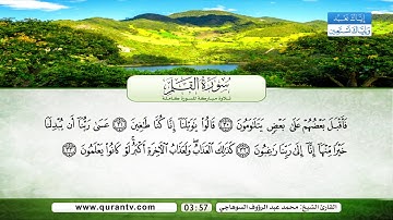 سورة القلم | بصوت القارئ الشيخ محمد عبد الرؤوف السوهاجي