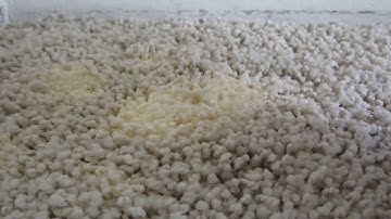 Carpet Bleach Stain Correction With Carpet Dyeing