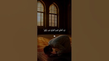 ربي اجعلني مقيم الصلاة | #قرآن #تلاوة_خاشعة #فارس_عباد #راحة_نفسية #اكسبلور #تابعوني