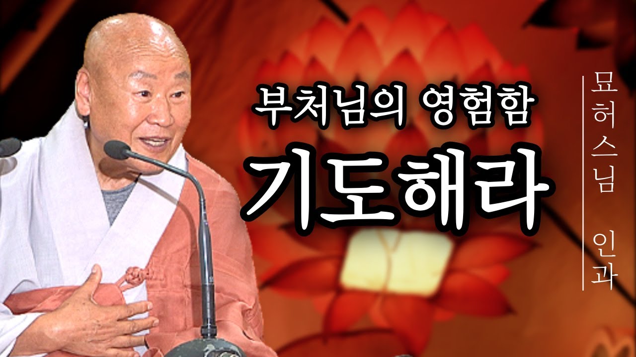 모든 부처님과 보살님들은 영험하시다. 믿고 기도해라!  [묘허스님의 인과 67]