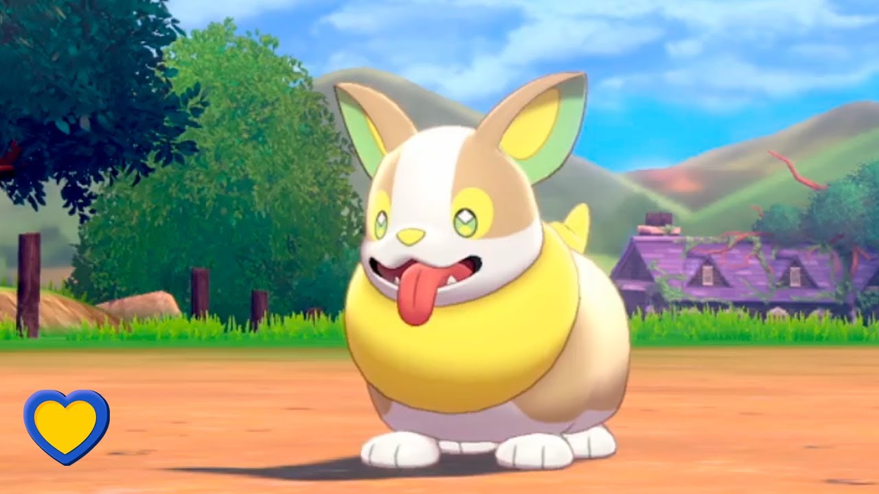 Yamper - Pokemon Sword and Shield Guide - IGN