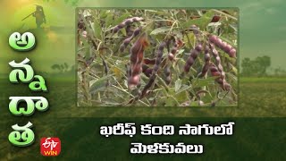 ఖరీఫ్ కంది సాగులో మెళకువలు | Tips for kharif Redgram | ETV screenshot 4