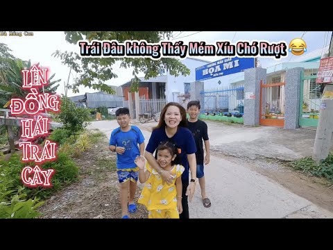 Video Giải Trí Mỗi Ngày - Lên Đồng Hái Trái Cây | Mém Xíu... - youtube