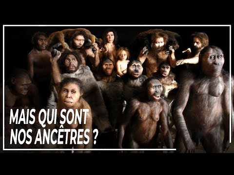 À la découverte des premiers Hommes : l'épopée des origines