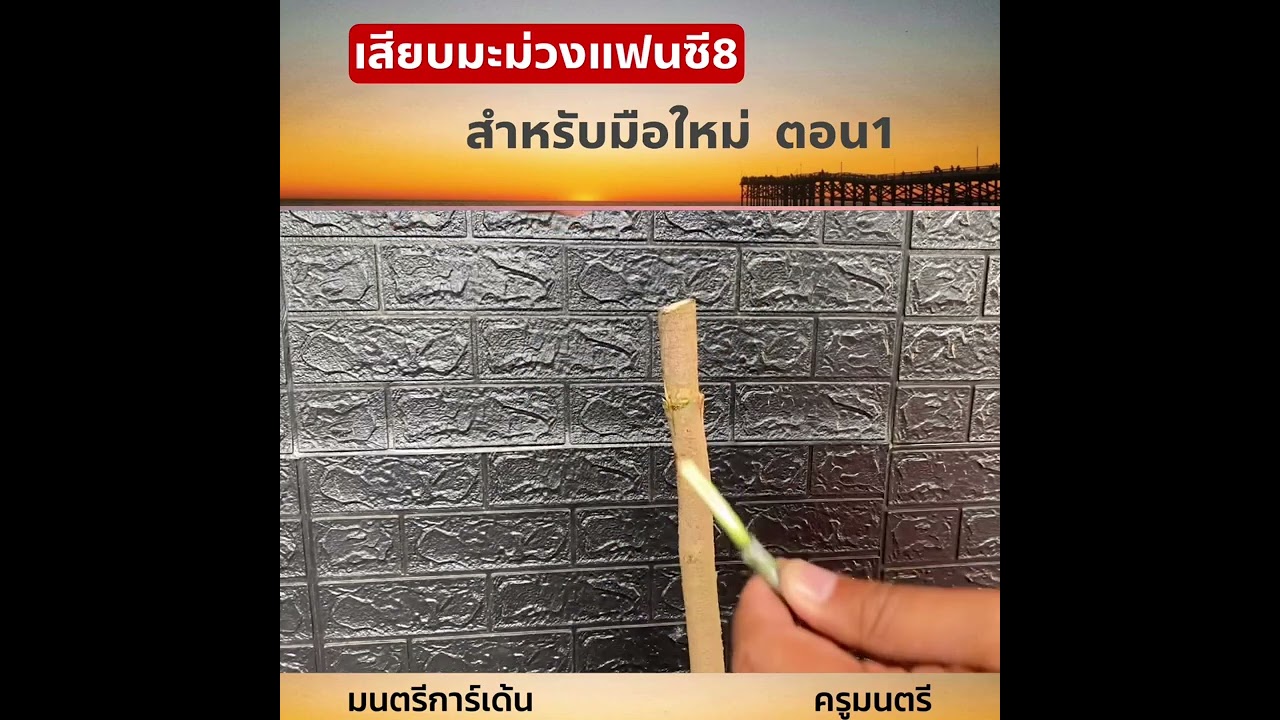 เสียบมะม่วงแฟนซีต้นใหญ่ ใส่กระถาง