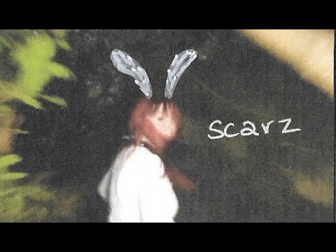 Holliday Howe - scarz
