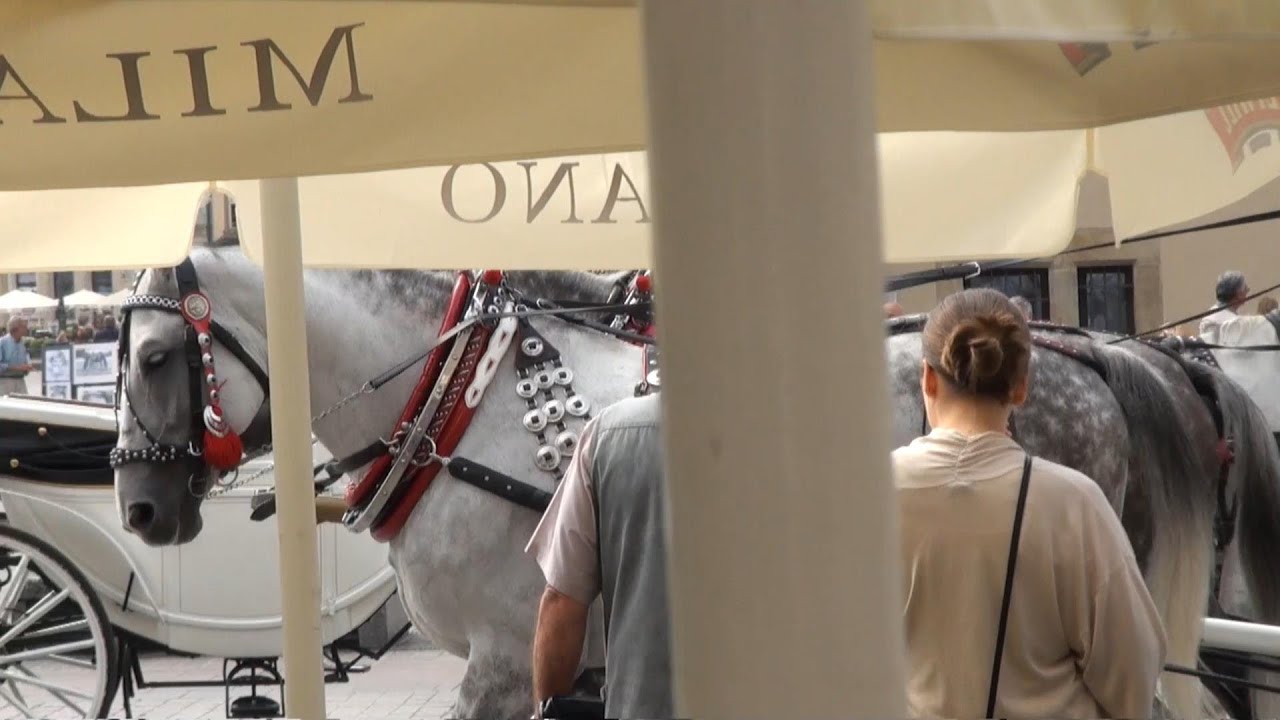 PLSP w JAROSLAWIU | NASZE WSPOMNIENIA | KRAKOW 2012