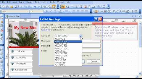 How to Publish your Website in the BlueVoda Website Builder