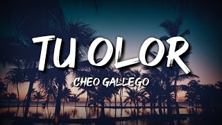 Cheo Gallego - Tu Olor (Letra / Lyrics) Resimi